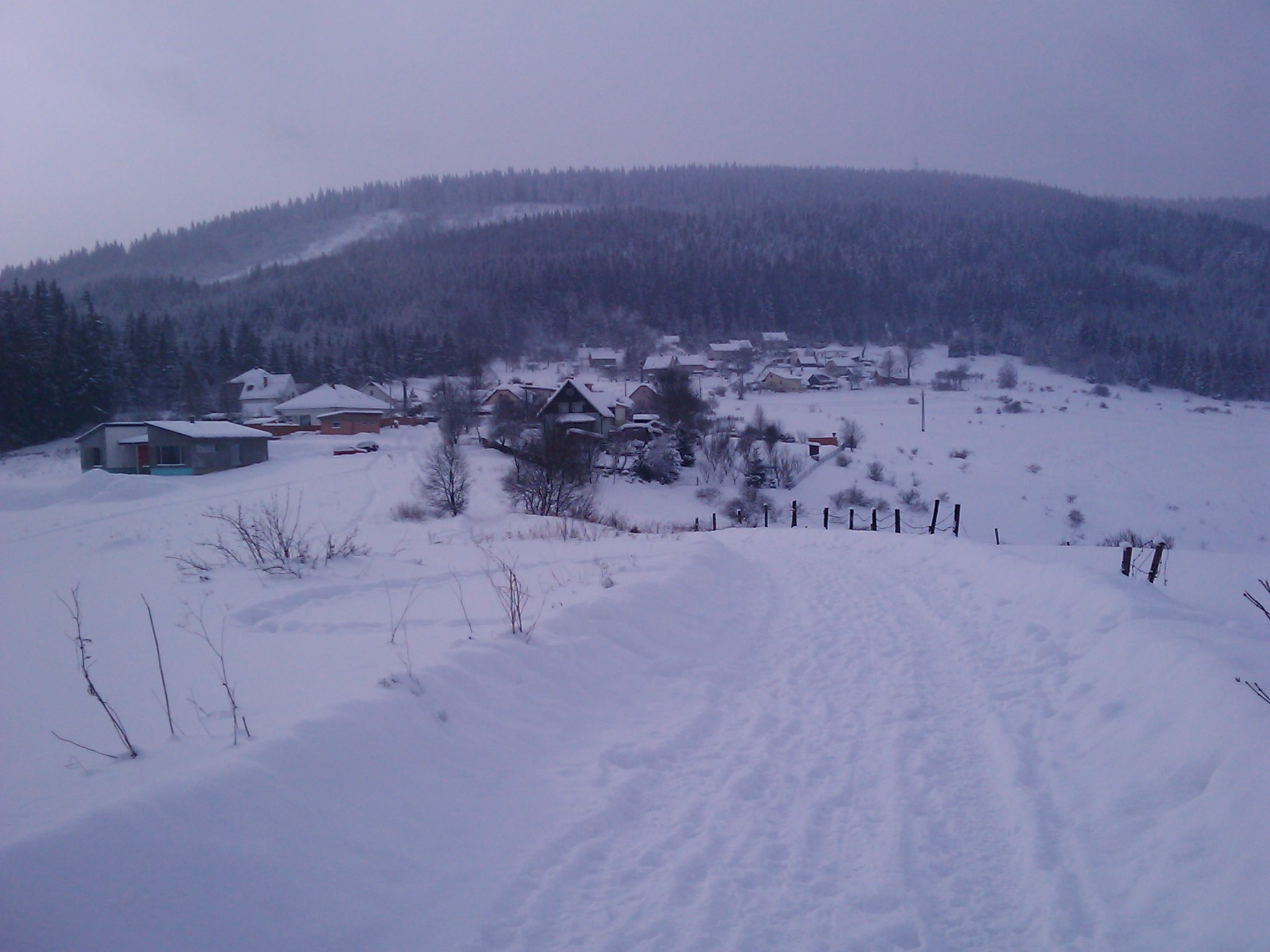 IMAGE_253.jpg